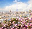 Jardin Du Luxembourg Paris Nouveau Discover the Healthiest Cities to Visit In the World