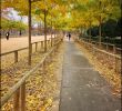 Jardin Du Luxembourg Paris Nouveau File Jardin Du Luxembourg Wikimedia Mons