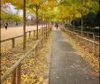 Jardin Du Luxembourg Paris Nouveau File Jardin Du Luxembourg Wikimedia Mons