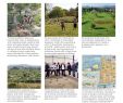 Jardin Du Luxembourg Plan Beau City Reflection Park Future Architecture