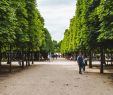 Jardin Du Luxembourg Plan Élégant the Jardin Des Tuileries In Paris A Royal Gem
