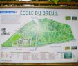 Jardin Du Luxembourg Plan Frais Arboretum Du Bois De Vincennes Paris 2020 All You Need