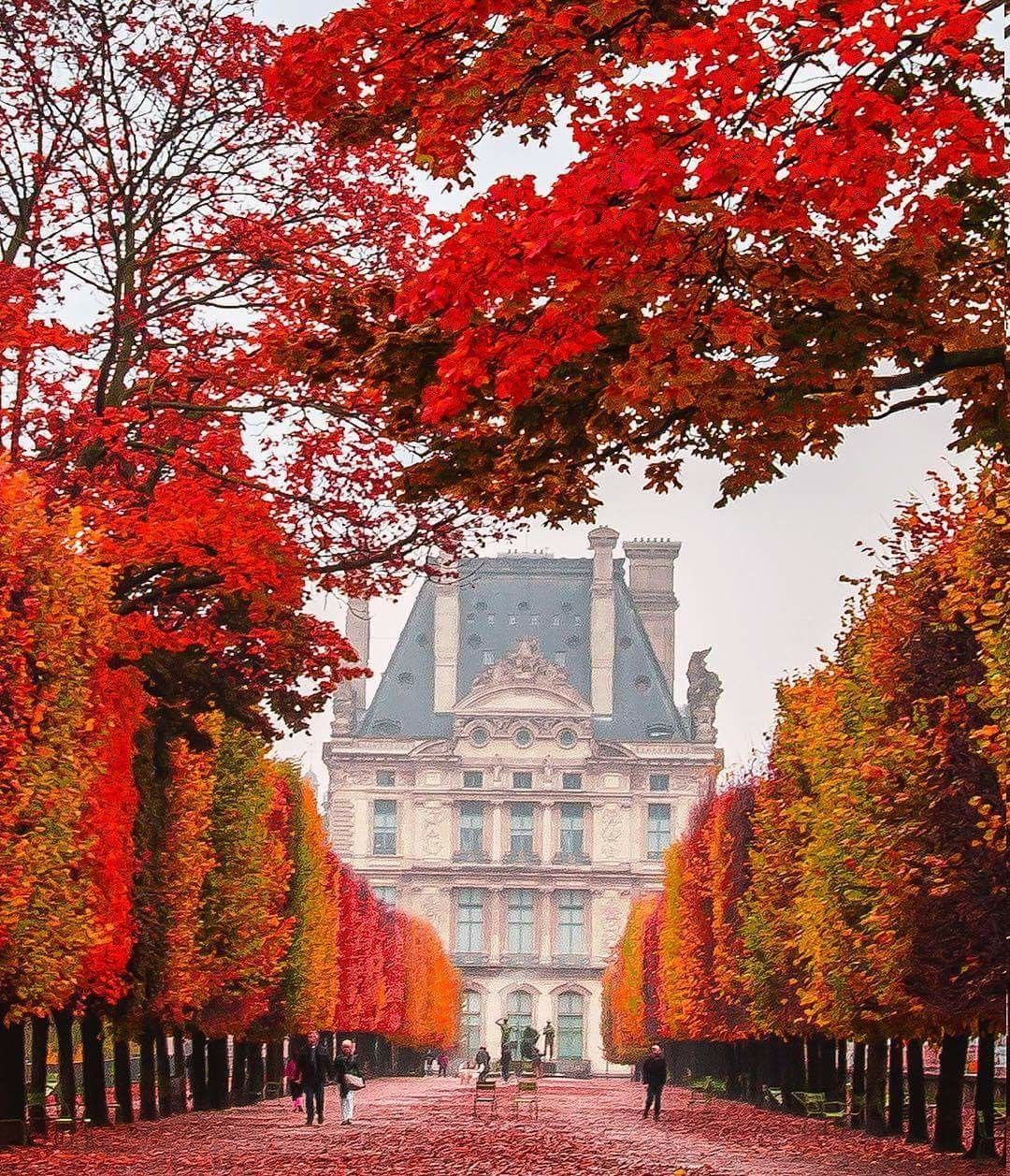 Jardin Du Luxembourg Plan Génial Tuileries Garden In Paris