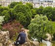 Jardin Du Luxembourg Plan Inspirant 11 Best Parks and Gardens In Paris Tranquil Havens