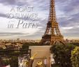 Jardin Du souvenir Pere Lachaise Best Of Calaméo where Paris July 2017 282