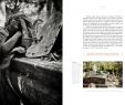 Jardin Du souvenir Pere Lachaise Best Of Le P¨re Lachaise French Edition Nathalie Rheims Nicolas