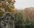 Jardin Du souvenir Pere Lachaise Best Of Pere Lachaise Cemetery Paris Tripadvisor