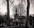 Jardin Du souvenir Pere Lachaise Charmant Le P¨re Lachaise French Edition Nathalie Rheims Nicolas