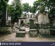 Jardin Du souvenir Pere Lachaise Charmant Pere Lachaise Cemetery Floral Stock S & Pere Lachaise