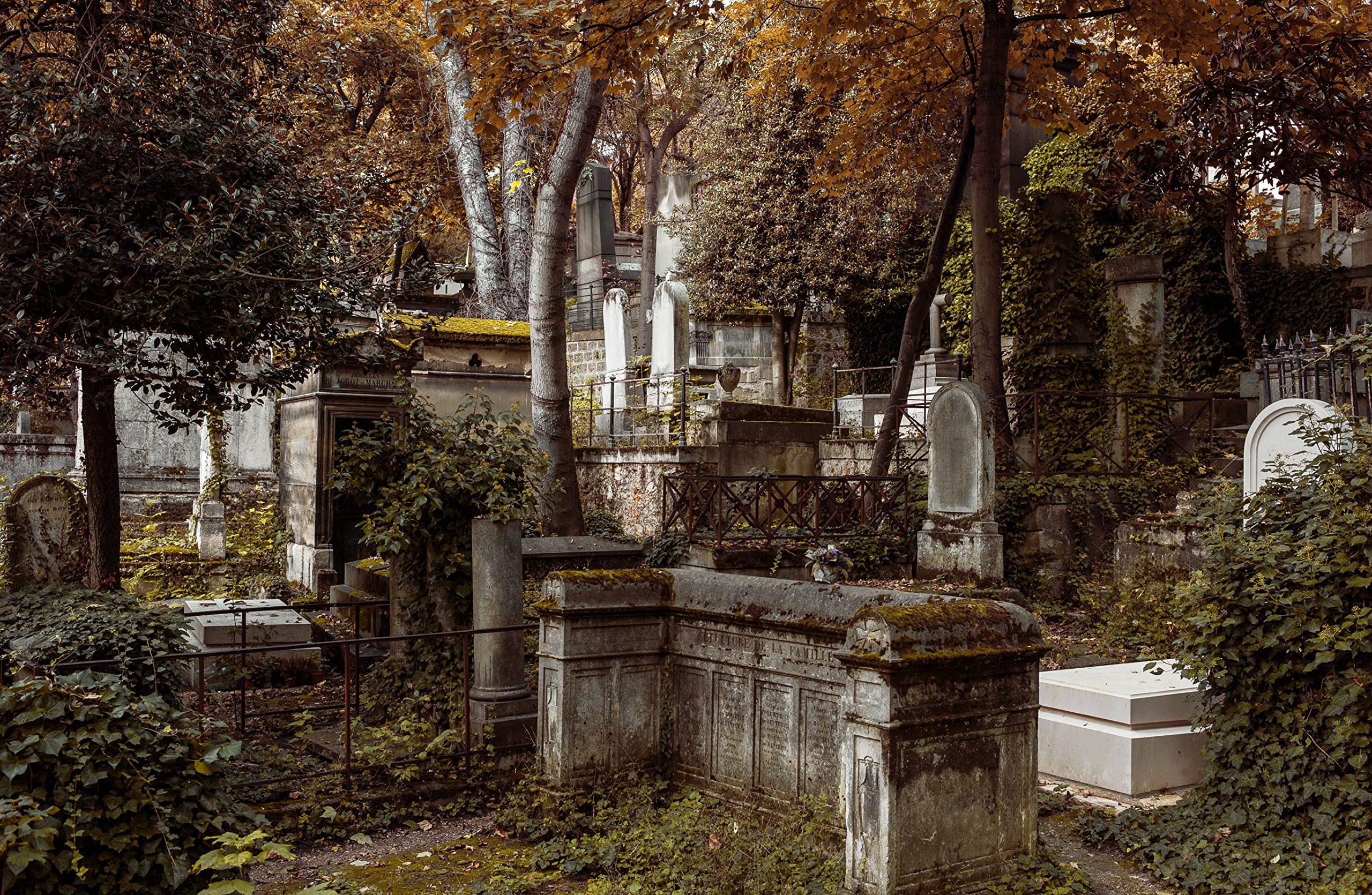 Jardin Du souvenir Pere Lachaise Frais Le P¨re Lachaise French Edition Nathalie Rheims Nicolas