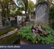 Jardin Du souvenir Pere Lachaise Inspirant Pere Lachaise Cemetery Floral Stock S & Pere Lachaise