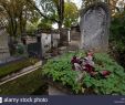 Jardin Du souvenir Pere Lachaise Inspirant Pere Lachaise Cemetery Floral Stock S & Pere Lachaise