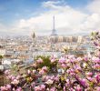 Jardin Du souvenir Pere Lachaise Luxe 3 Days In Paris Perfect Weekend City Break Guide Lazytrips