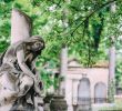 Jardin Du souvenir Pere Lachaise Luxe 9 Free Things to Do In Paris
