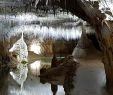 Jardin Du Thé Grenoble Charmant Grotte De Choranche 2020 All You Need to Know before You