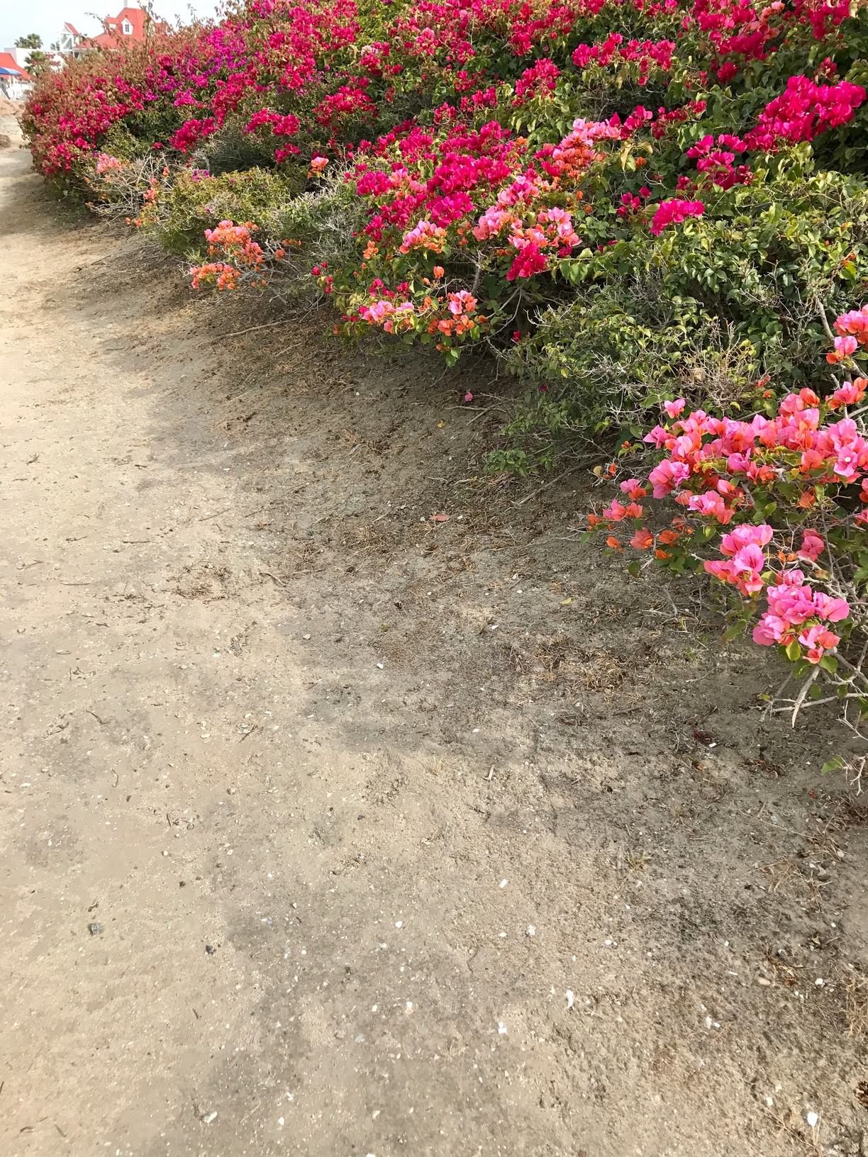 Jardin Du Thé Grenoble Nouveau Sherman Oaks Campground