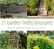 Jardin En Permaculture Beau 24 Easy Diy Garden Trellis Ideas & Plant Structures
