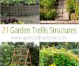 Jardin En Permaculture Beau 24 Easy Diy Garden Trellis Ideas & Plant Structures