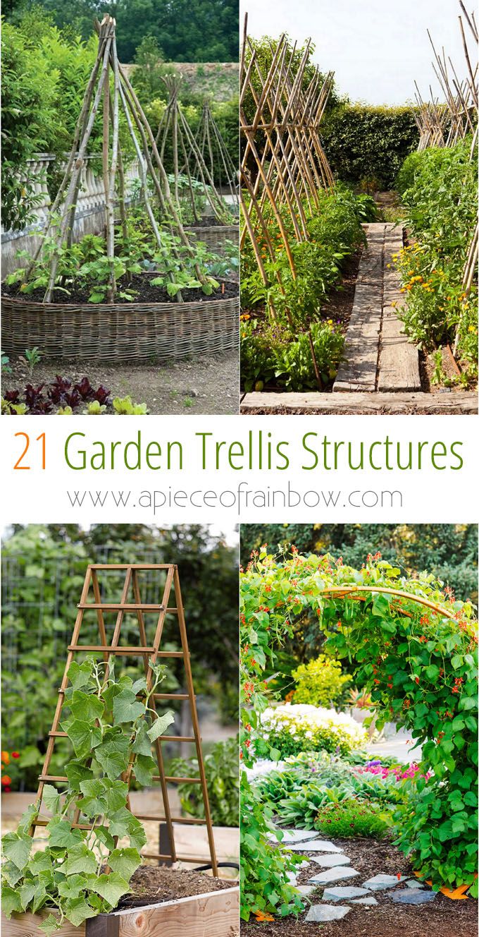 Jardin En Permaculture Beau 24 Easy Diy Garden Trellis Ideas & Plant Structures