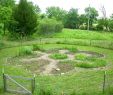 Jardin En Permaculture Beau Mandala Garden Avec Des Trous De Serrure Pour Faciliter L