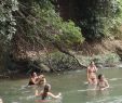 Jardin En Permaculture Charmant Hotel Casa Luca Reviews Costa Rica Monteverde Tripadvisor