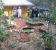 Jardin En Permaculture Charmant Ryde Tafe Permaculture Garden