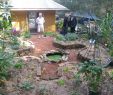 Jardin En Permaculture Charmant Ryde Tafe Permaculture Garden