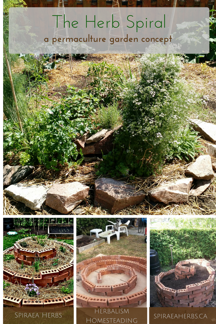 Jardin En Permaculture Charmant the Herb Spiral A Permaculture Garden Design