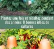 Jardin En Permaculture Génial épinglé Par Gravouil Sur Jardinage