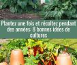 Jardin En Permaculture Génial épinglé Par Gravouil Sur Jardinage