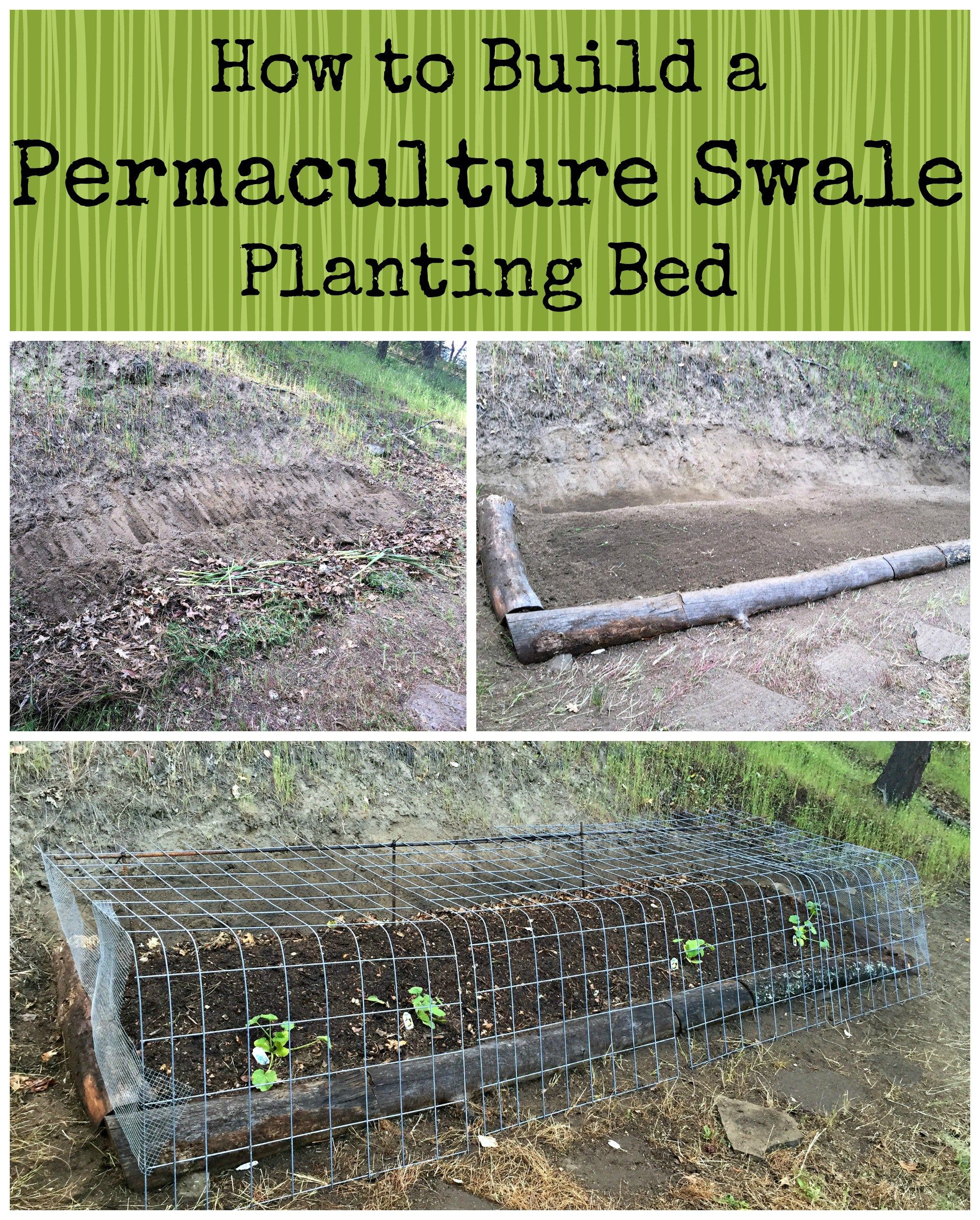 Jardin En Permaculture Génial How to Build A Permaculture Swale Planting Bed