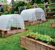 Jardin En Permaculture Génial Tunnel De Jardin La Serre Pratique Et économique