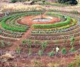 Jardin En Permaculture Inspirant Garden S Don T Need to Be Rectangular