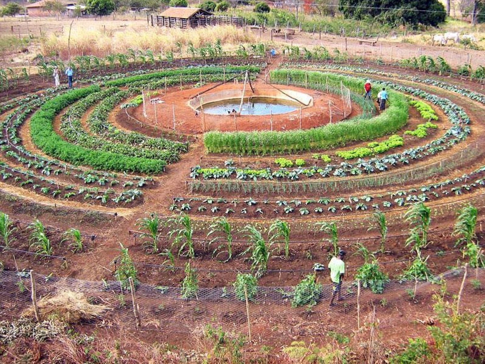 Jardin En Permaculture Inspirant Garden S Don T Need to Be Rectangular