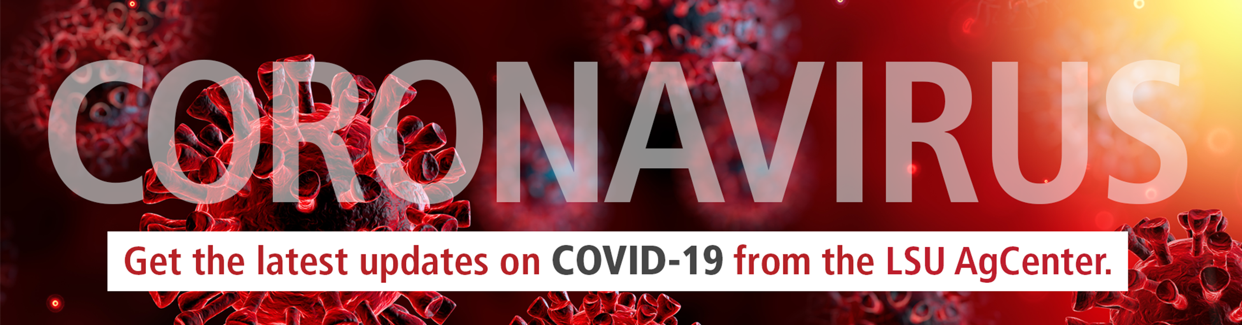 caronavirus web banner