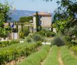 Jardin En Permaculture Unique the Best Farm Stays In Luberon Of 2020 with Prices