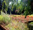 Jardin En Ville Charmant Jardin Dominique Alexandre Godron Garden Nancy 2020 All