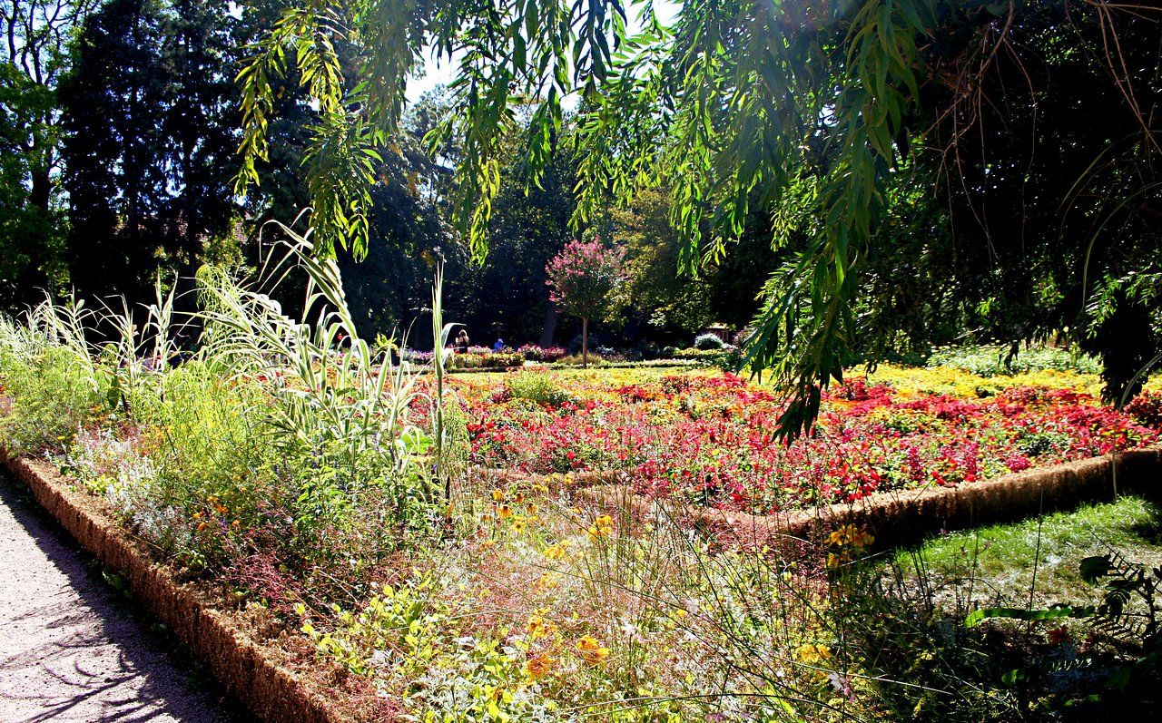 Jardin En Ville Charmant Jardin Dominique Alexandre Godron Garden Nancy 2020 All