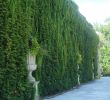 Jardin En Ville Élégant Jardin Publique Bordeaux