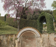 Jardin En Ville Frais Jardin Bardini Et Costa San Giorgio   Florence Ali Di