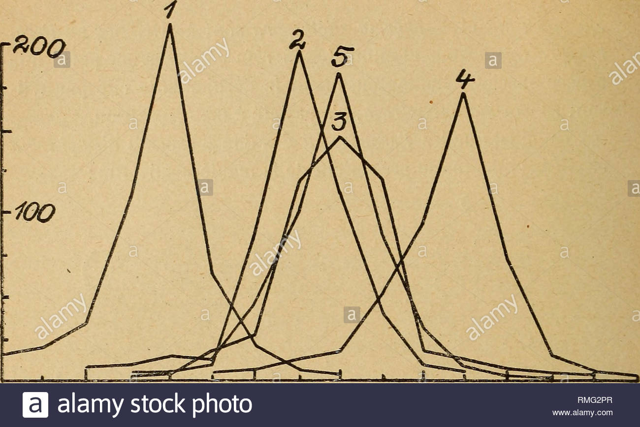 annuaire du conservatoire et du jardin botaniques de genve botany e gaumann 8 o 1q 16 ms 6 s 5z courbe 1 2 3 4 5 fig 3 courbe des longueurs des coni s sur veuphorbia platyphylla cyparissias y gerardiana glyptospertna esula r s please note that these images are extracted from scanned page images that may have been digitally enhanced for readability coloration and appearance of these illustrations may not perfectly resemble the original work conservatoire et jardin botaniques de la ville de genve genve conser RMG2PR