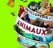 Jardin Encyclopédie Unique Encyclopedie Des Animaux Les Yeux De La Découverte 9 Ans