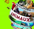 Jardin Encyclopédie Unique Encyclopedie Des Animaux Les Yeux De La Découverte 9 Ans