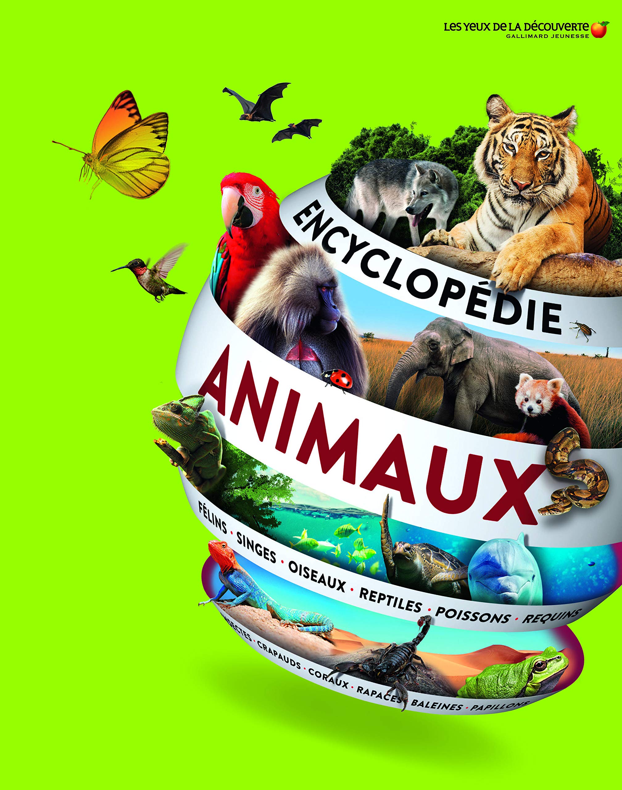 Jardin Encyclopédie Unique Encyclopedie Des Animaux Les Yeux De La Découverte 9 Ans