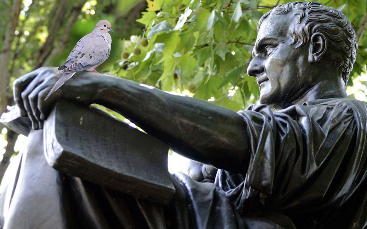 Jardin Encyclopédie Unique Tirer L Homme De La Classe Des Animaux Carnassiers Sens