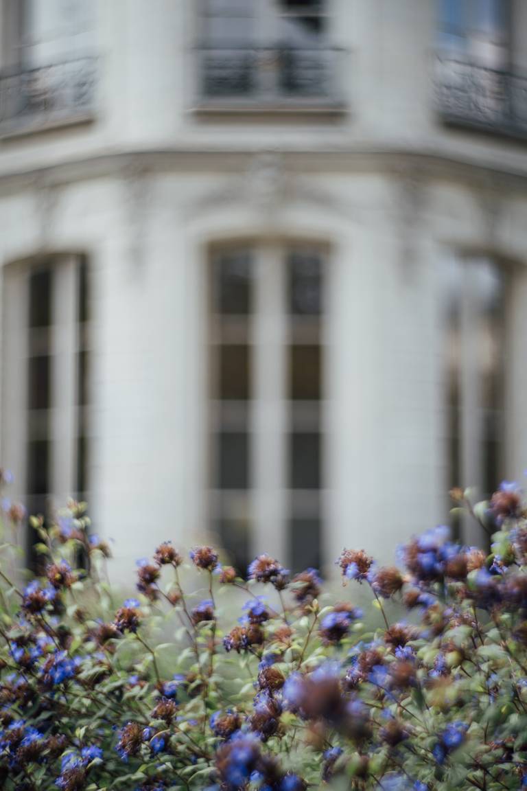 Jardin Ephemere Beau Dans Le Jardin Du Musée Des Archives Avec Les Objectifs