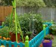 Jardin Ephemere Best Of 40 Incredible Backyard Garden Playground for Kids
