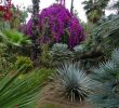 Jardin Ephemere Luxe Jardin Majorelle Marrakech 2020 All You Need to Know