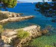 Jardin Exotique Monaco Best Of Villa Gracia B&b Reviews Beaulieu Sur Mer France