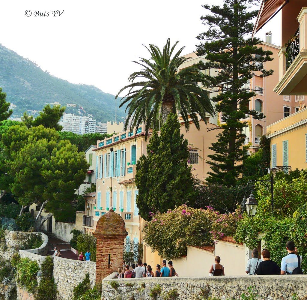 Jardin Exotique Monaco Charmant 41 Best Monaco Monte Carlo Images